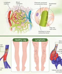 Biancat™ Lymphatic Detox Herbal Cream