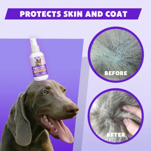 BBOJI™ Flea & Tick Kolirin Spray 🔥 70% Limited Discounts